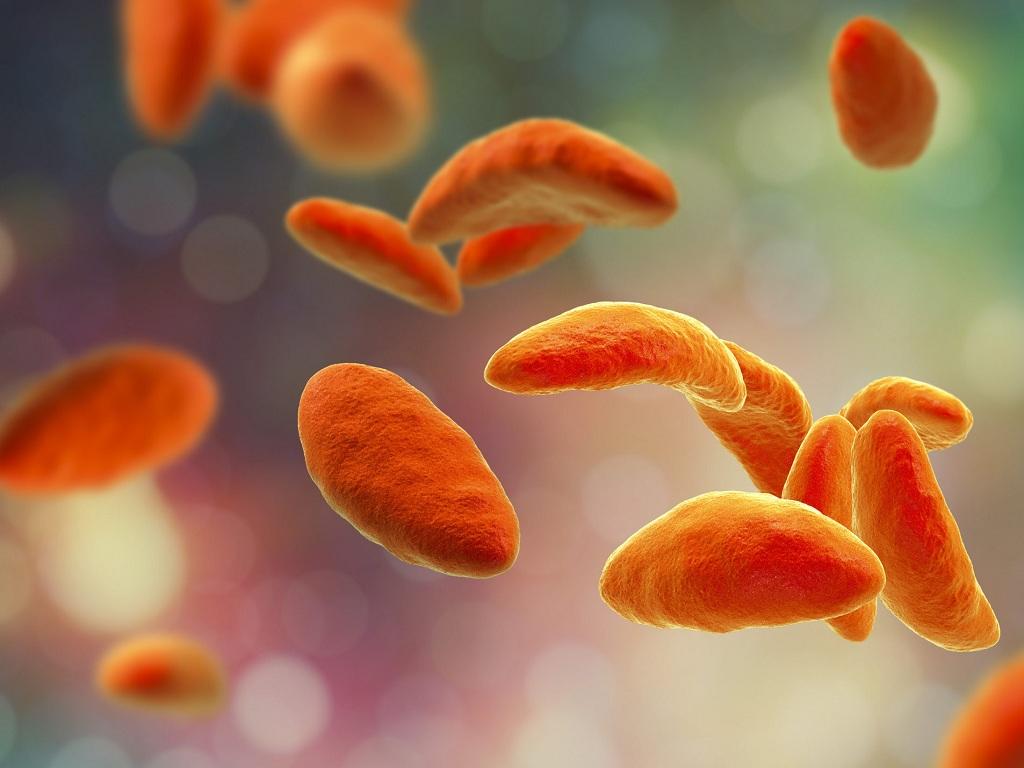 Medikament gegen Parasiten: Wirkung, Anwendung und wichtige Hinweise
