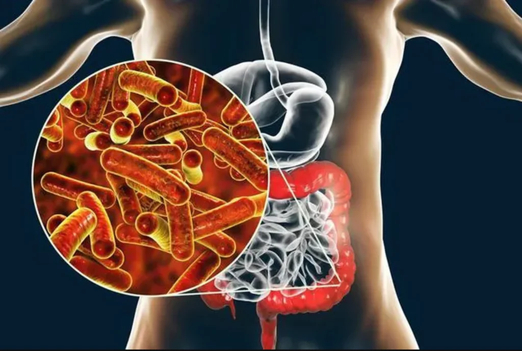 Parasiten Tropfen – Natürliche Unterstützung für Darm und Wohlbefinden
