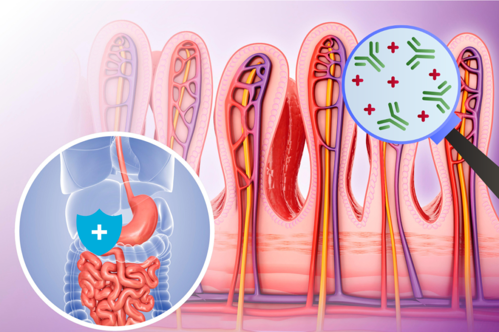 Parasiten im Darm: Symptome erkennen und richtig behandeln