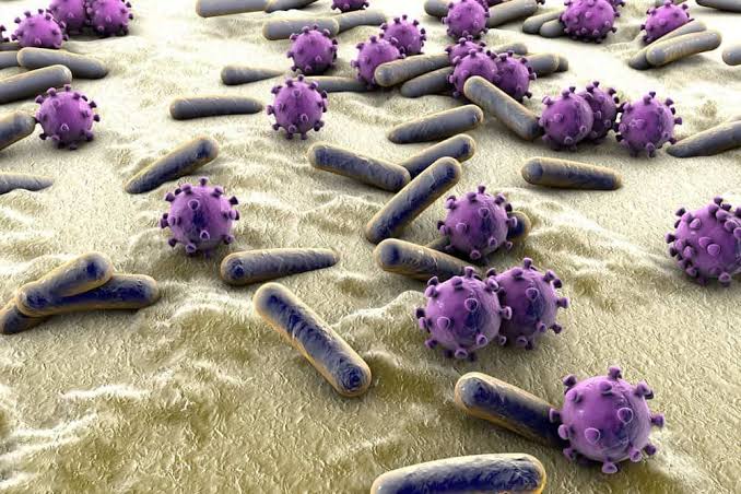 Parasiten im Darm: Symptome erkennen und richtig behandeln