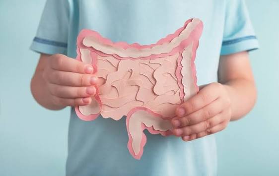 Darmparasiten Behandlung – Ursachen, Symptome und wirksame Therapien