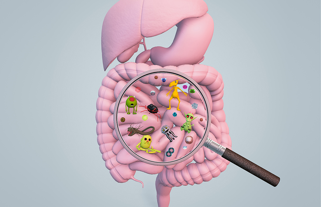 Parasiten im Darm: Symptome erkennen und richtig behandeln