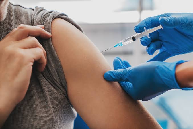 Darmparasiten loswerden: So gelingt die gezielte Behandlung