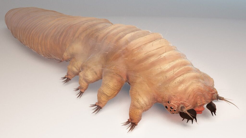 Natürliche Darmreinigung bei Parasiten: Den Darm sanft unterstützen